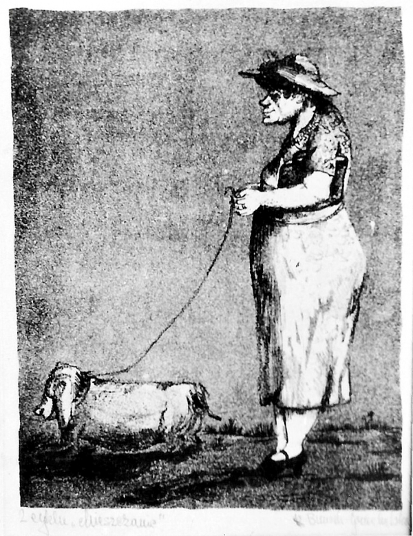 Groteskowo-ekspresjonistyczne przedstawienie kobiety z psem na smyczy. Kobieta w kapeluszu, bluzce z krótkim rękawem, spódnicy, półbutach na wysokim obcasie. Nos zadarty, usta wąskie. Sylwetka zdeformowana, podobnie jak sylwetka psa. Kolor czarny i biel papieru.                                                                                                      Z lewej strony u dołu podpis - Z cyklu Mieszczanie z prawej u dołu sygnowany - K. Bunsch-Gruchalska                      Na odwrocie pieczęć CSM w Kozłówce, nr inw. 7373, pieczęć Komisji Artystycznej ZPAP Kraków.  